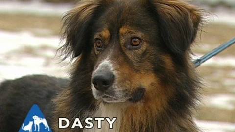 Chcete mě? - Chcete je?