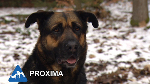 Chcete mě? - Chcete je?