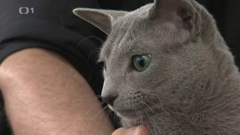 Polopatě - 5. prosince 2021