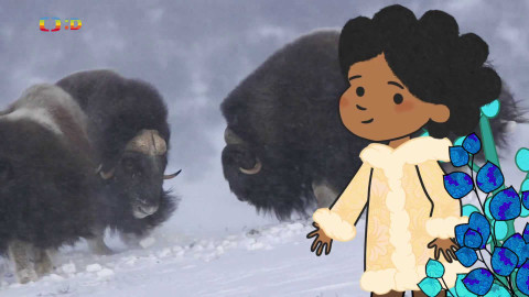 Velká kniha o zvířátkách - Epizoda 51/52