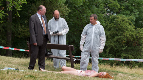 Inspektor Max - 8/11 Obraz