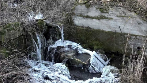 Toulavá kamera - 16. února 2020