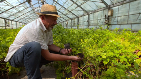 Cestou za chutěmi - Brambory