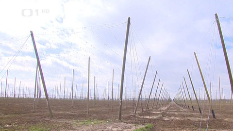 Wiadomości w języku polskim - 24. března 2024