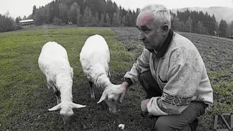 Náš venkov - Pásli ovce Valaši