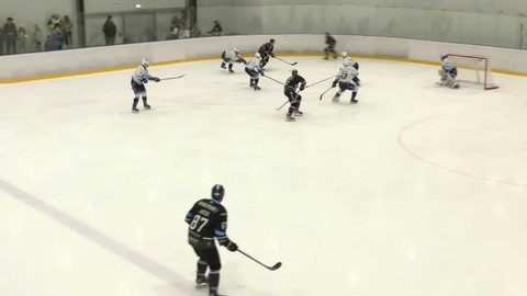 Univerzitní liga ledního hokeje - Black Dogs Budweis - VŠE Falcons Prague