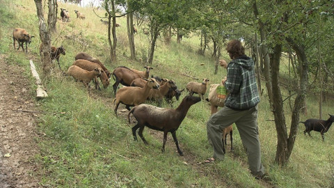 Chcete mě? - 13. října 2019