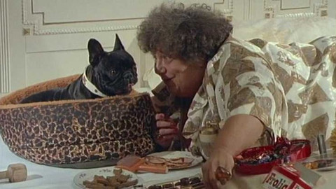 O zvířatech a lidech - 1/13 Dívka s kocourem