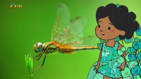 Velká kniha o zvířátkách - Epizoda 31/52