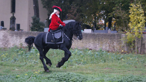 Záhady Toma Wizarda - Jezdkyně z neznáma