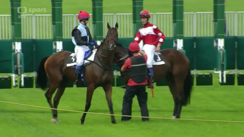 Jezdectví - Velká cena Prahy 2014