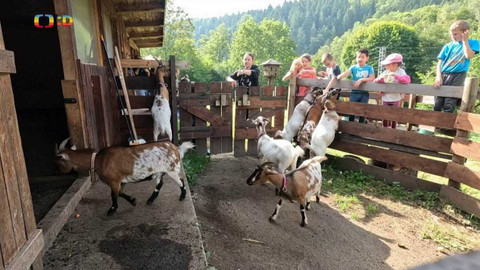 Zprávičky - 21. září 2023