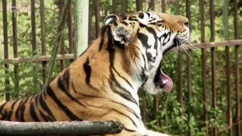 Chalupa je hra - 22. prosince 2009