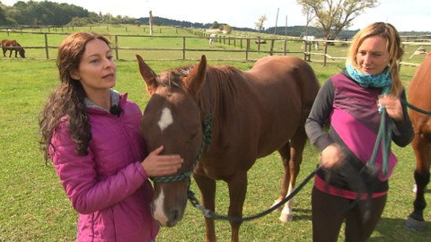 Chcete mě? - 5. listopadu 2017