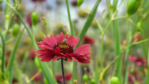 Polopatě - 19. května 2024