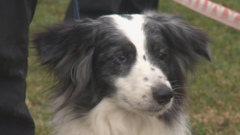 Chcete mě? - 9. dubna 2017