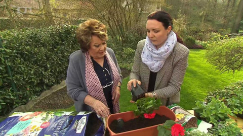 Hobby naší doby - 27. dubna 2019