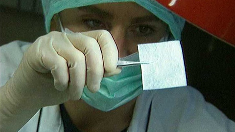 Popularis - 19. června 2003