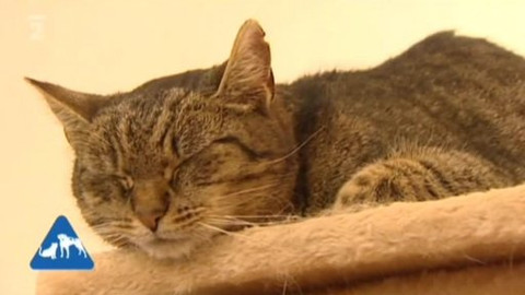 Chcete mě? - Chcete je?