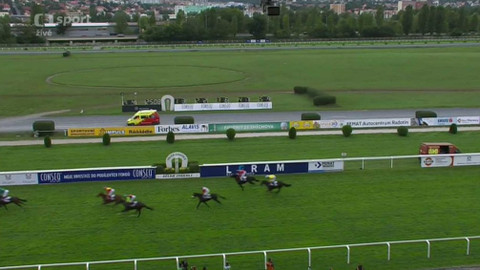 Jezdectví - Zlatý pohár Elektrizace železnic