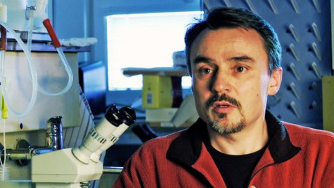 PORT - 9. března 2012