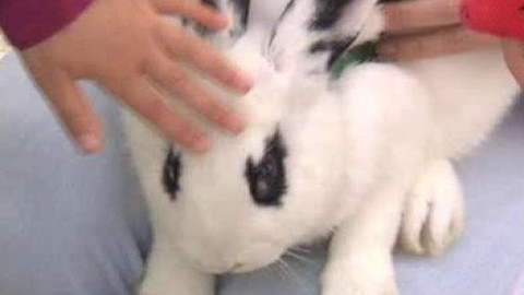 Chcete mě? - 25. června 2010