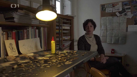 Týden v regionech (Brno) - 29. ledna 2022