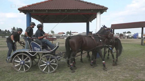 Jezdectví - M ČR spřežení Semice