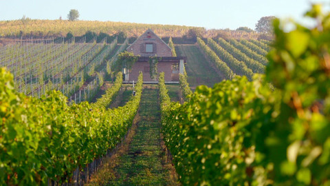 Milovníci vína - 5/12 Cesta na východ