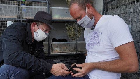 Co Čech, to chovatel - 5/8 Chovatelská superstar