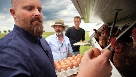 Trvalé bydliště venkov - 2/16 Slepice k adopci