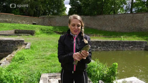 Cyklotoulky - Žďár nad Sázavou a okolí