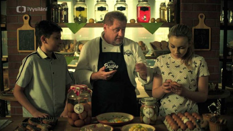 Všežralovo bistro - SALMONELÓZA