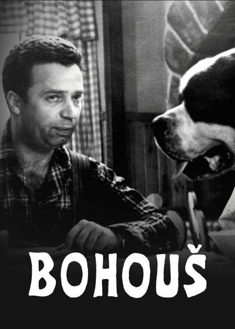 Bohouš