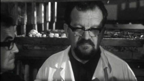 Zelený magazín - Zelený magazín IV.