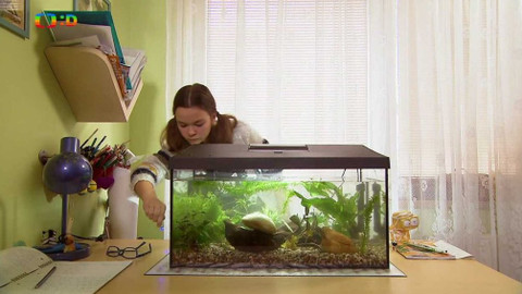 Terčin zvířecí svět - 6. dubna 2018