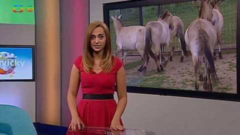 Zprávičky - 27. června 2015