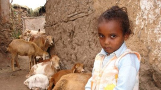 Na cestě po severu Etiopie