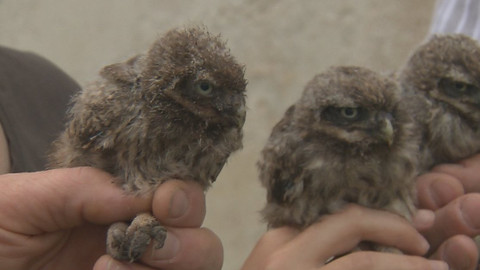 Chcete mě? - 24. září 2017