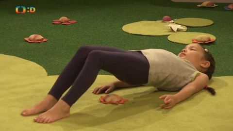 Jogínci - 2. listopadu 2013