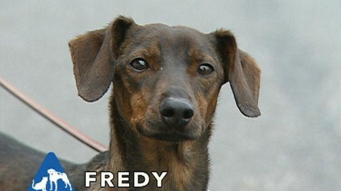 Chcete mě? - Chcete je?