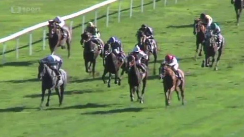 Turf - 2. října 2012