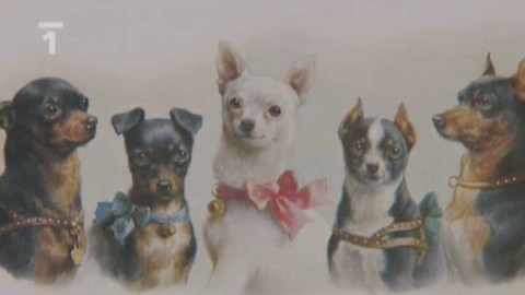 Domácí štěstí - 4. listopadu 2001