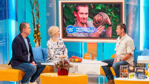 Dobré ráno - 19. října 2021