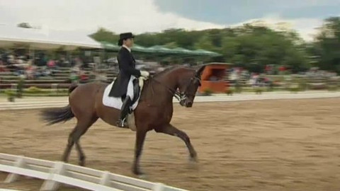 Jezdectví - Světový pohár v drezuře Brno