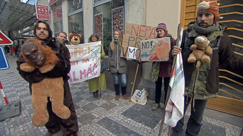 Nedej se! - Prales v motoru