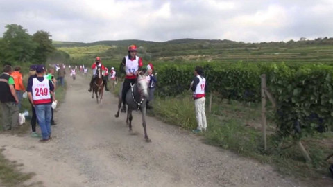 Jezdectví - ME v jezdecké vytrvalosti 2015 Slovensko