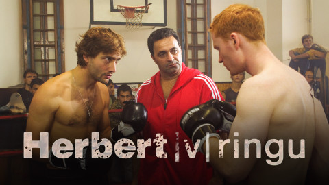 Herbert v ringu