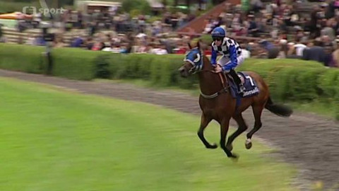 Turf - 25. června 2015