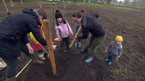 Nedej se! - Spadlí z hrušky